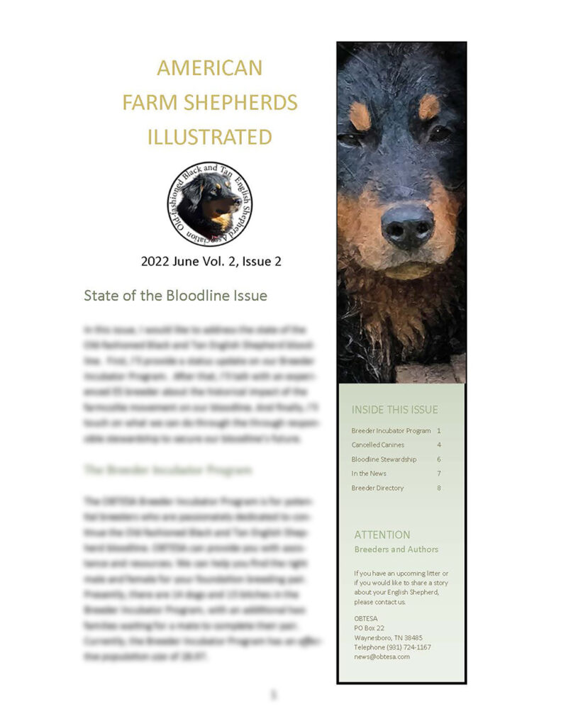 American Farm Shepherds Illustrated Annual Subscription