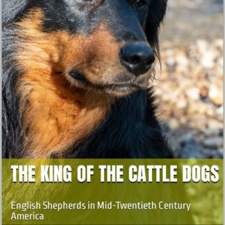 The King of the Cattle Dogs